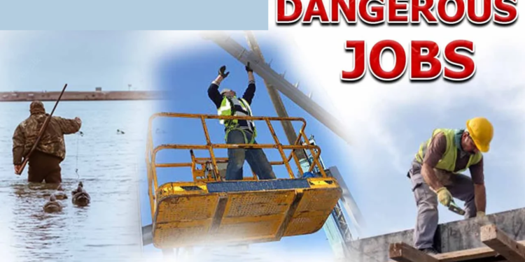 Most Dangerous Jobs In The World 2024 