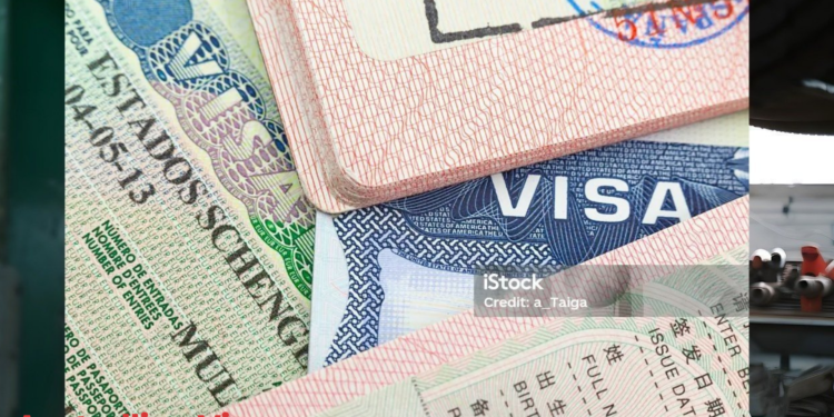 Australian Post-study Work Visa in 2024