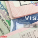 Australian Post-study Work Visa in 2024